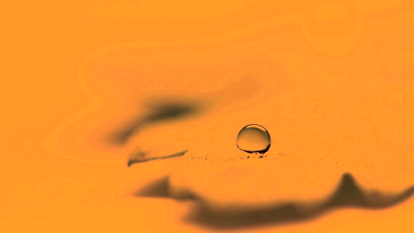 Капля на замёрзжем листе обои