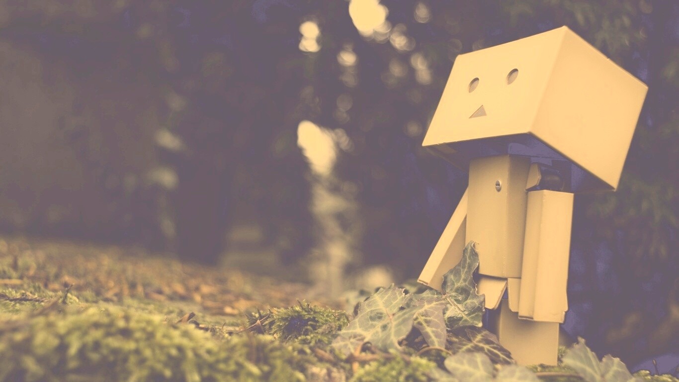 Danbo смотрит вверх обои
