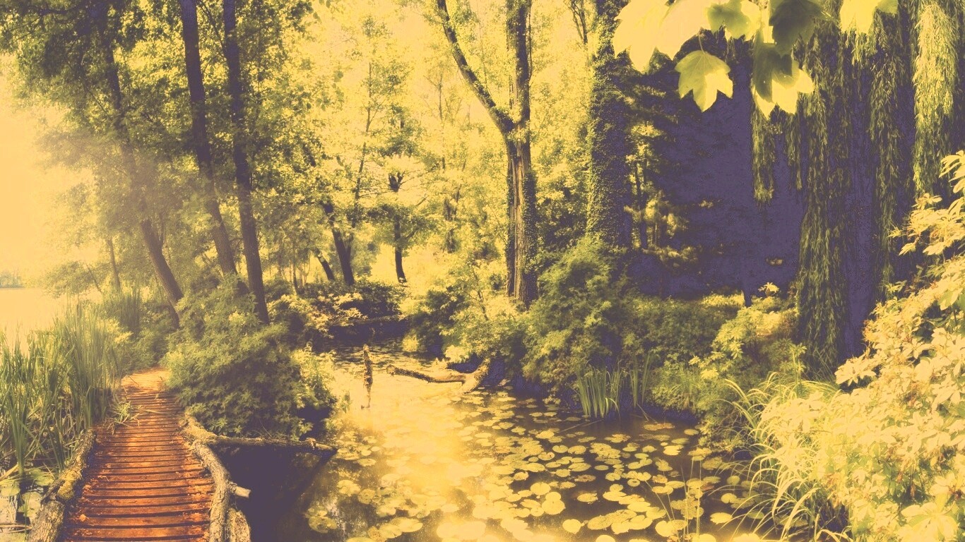 Пруд в лесу обои