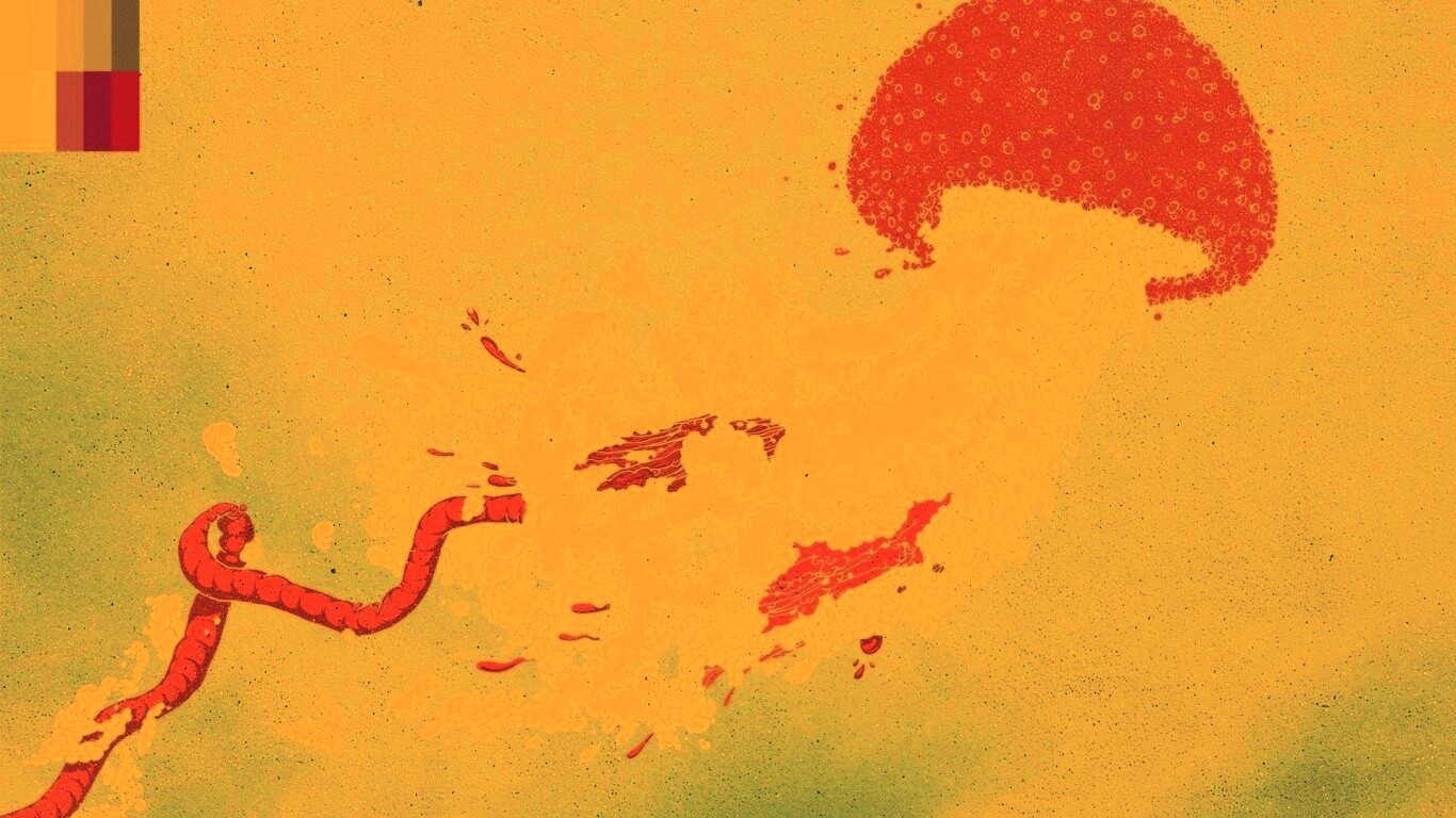 Розовая медуза обои