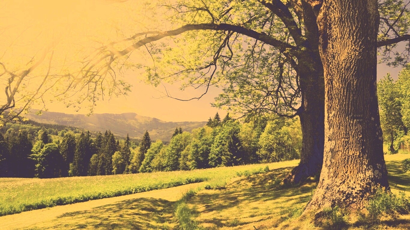 Лето в деревне обои