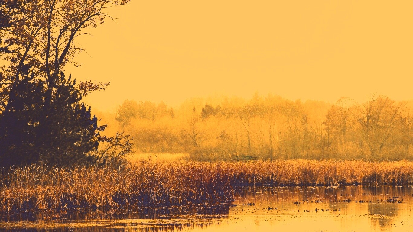 Живописные болота обои