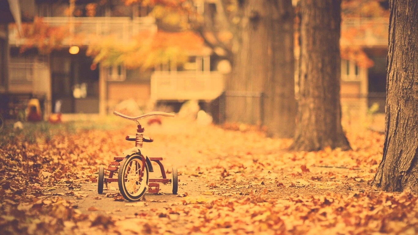 Трёхколёсный друг на осенней дорожке обои