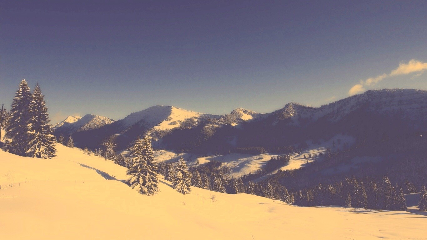 Лес в горах обои