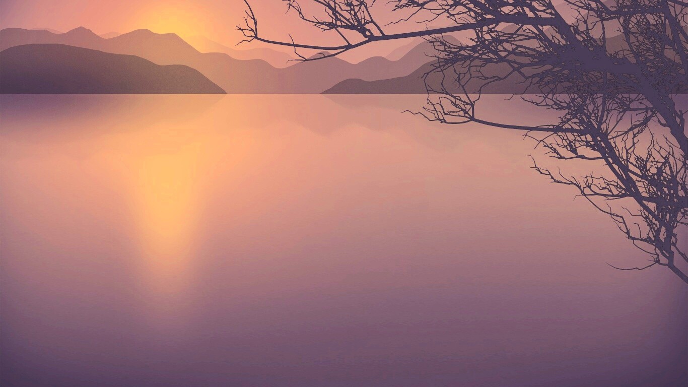 Ветка над вечерним озером обои