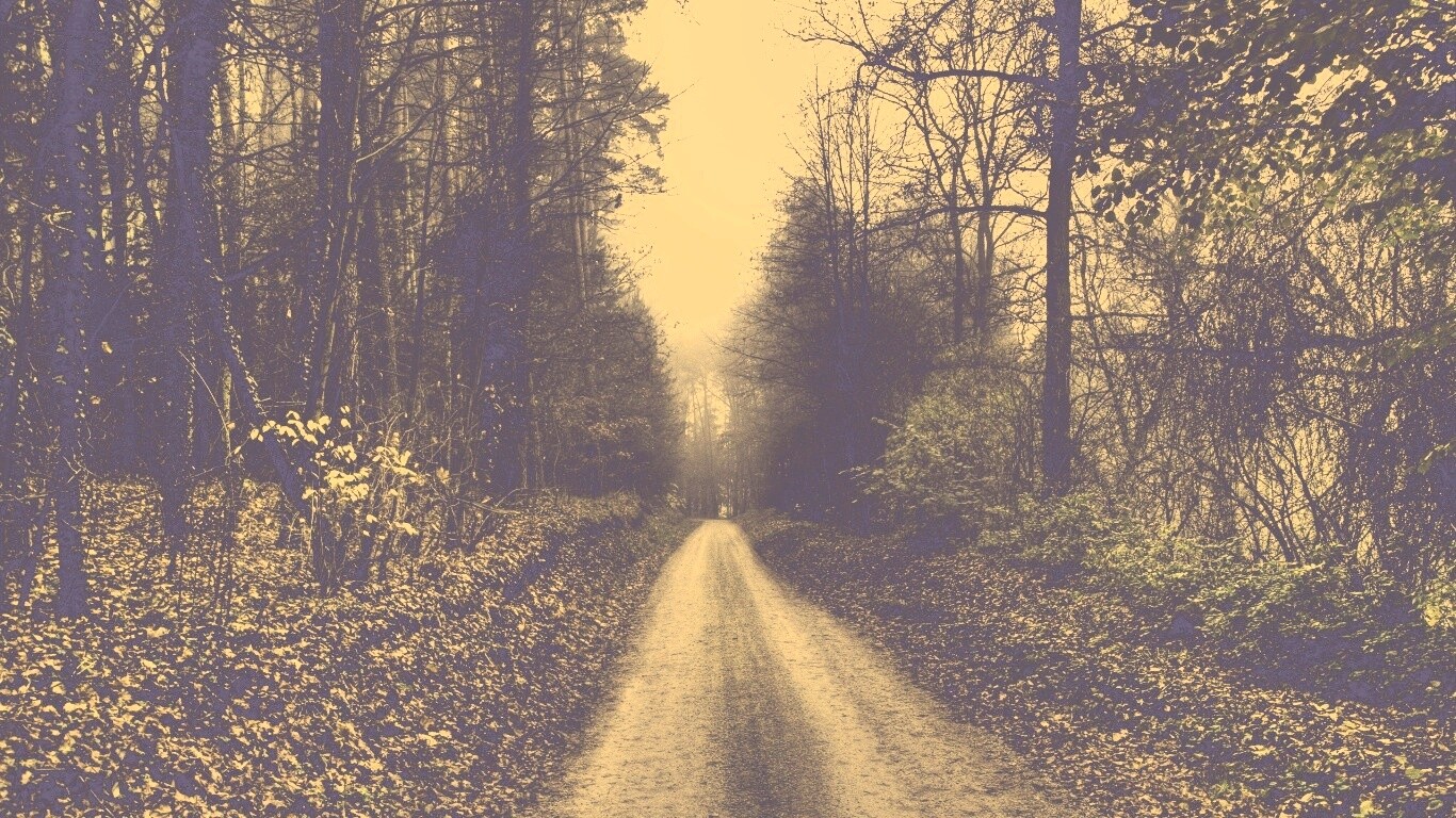 Дорога через лес обои