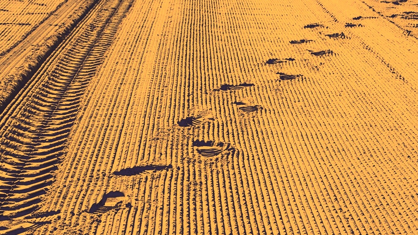 Следы на песке обои