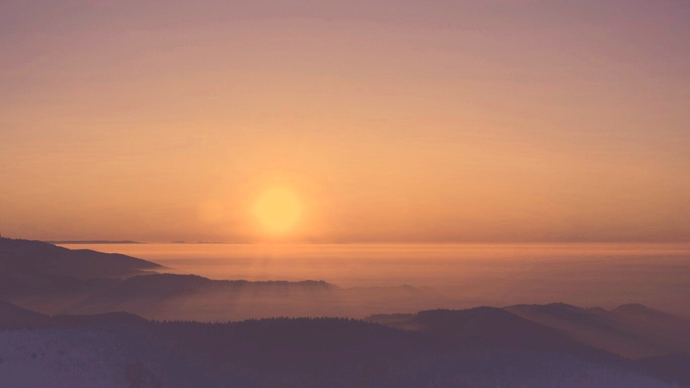Восход солнца над лесом обои