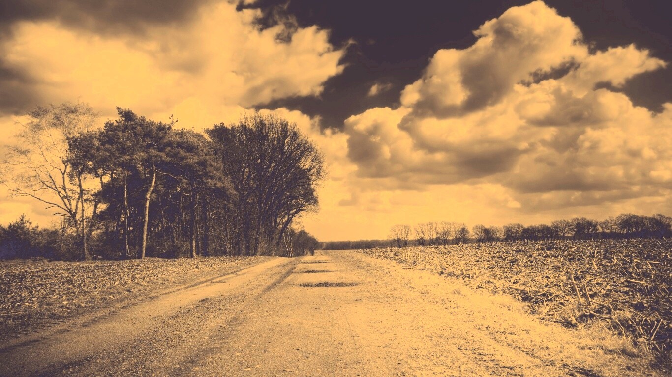 Дорога через поле обои