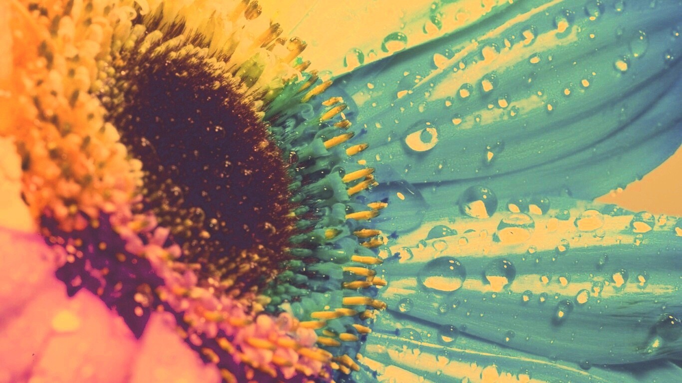 Цветик семицветик обои