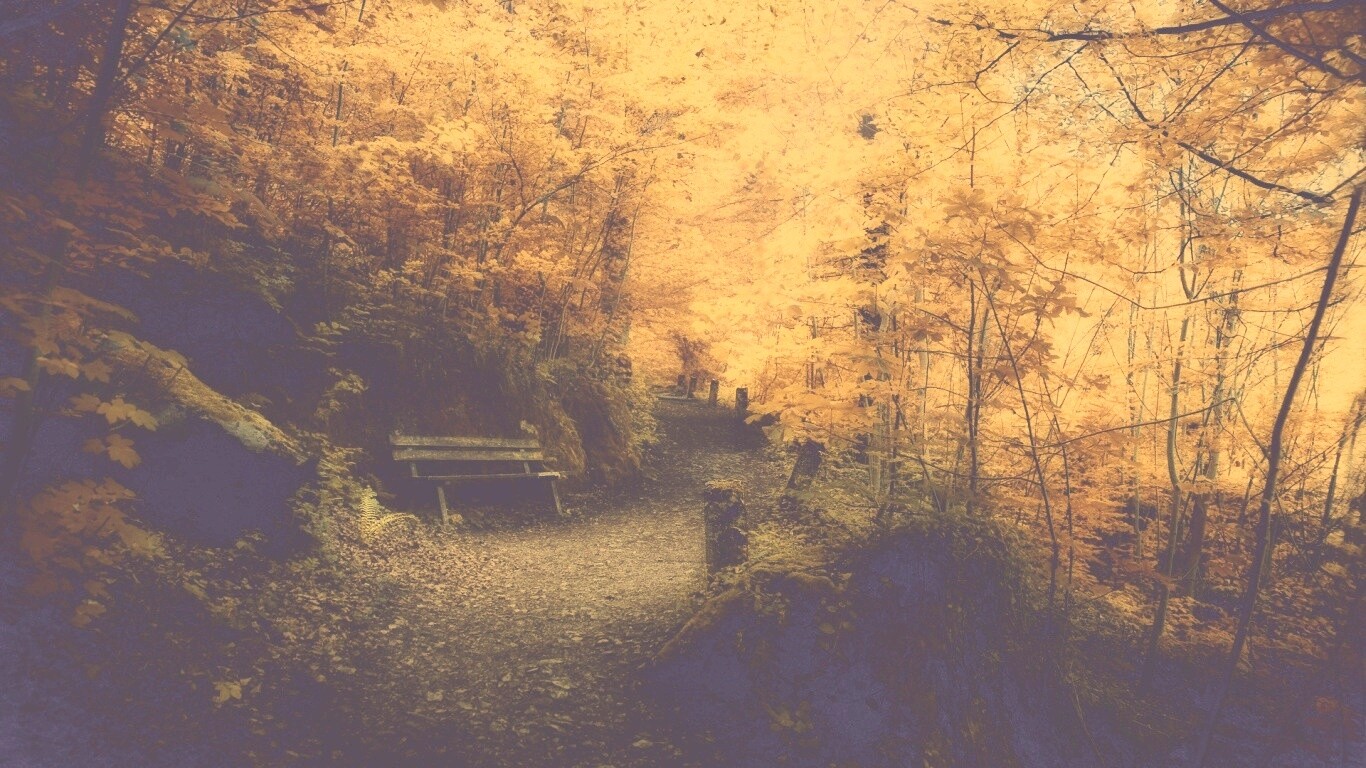 Скамейке в чаще парка обои