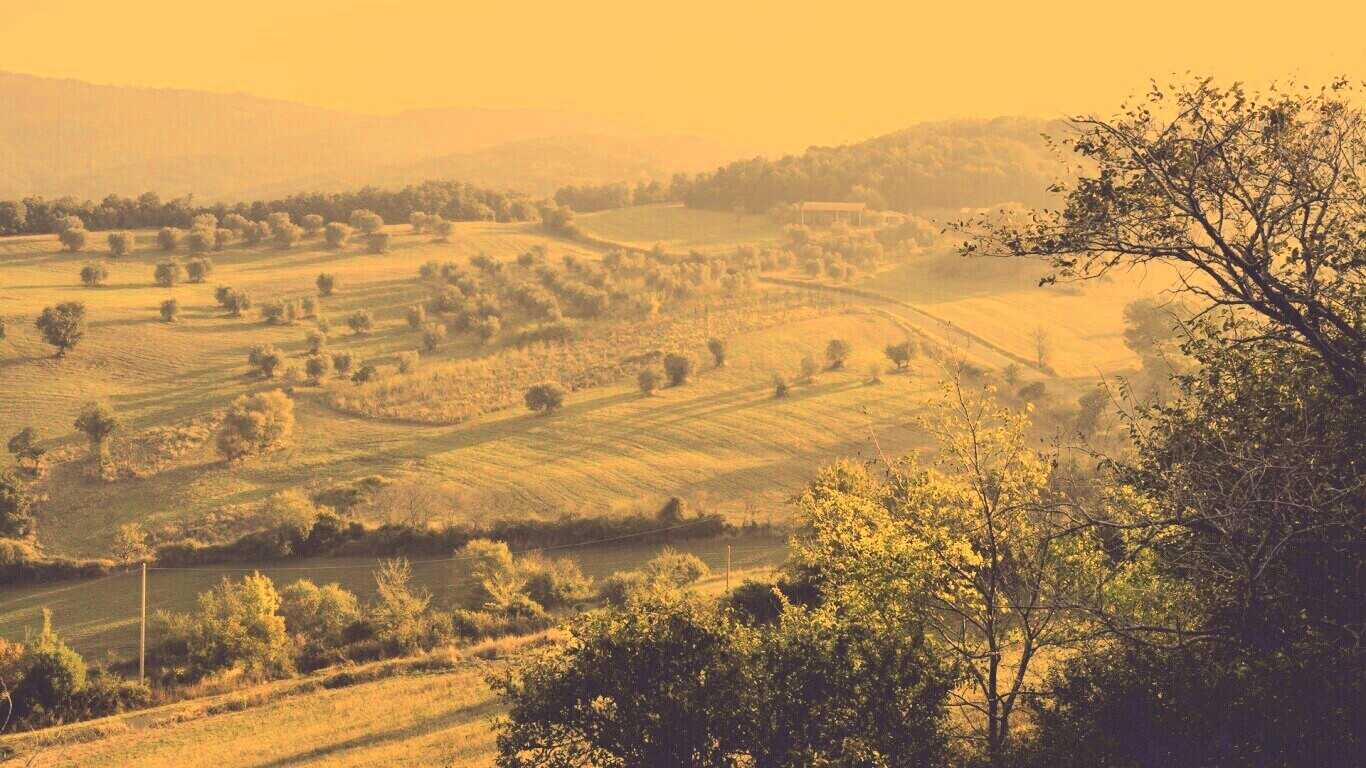 Ферма в долине обои