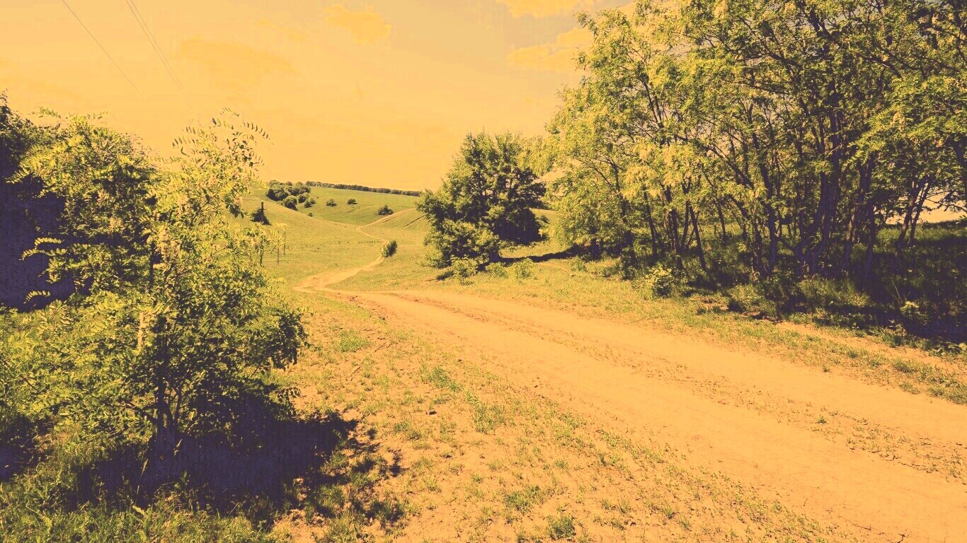 Просёлочная дорога обои