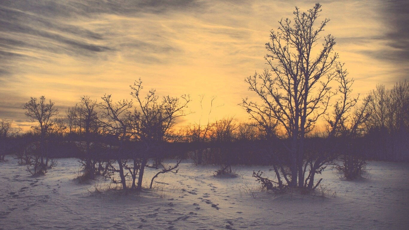 Закат в зимнем лесу обои