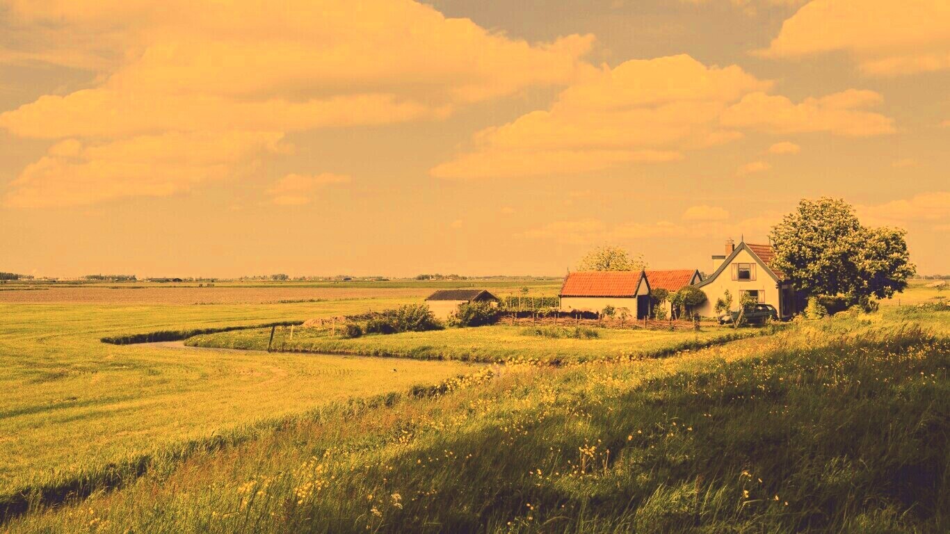 дом на лугу обои