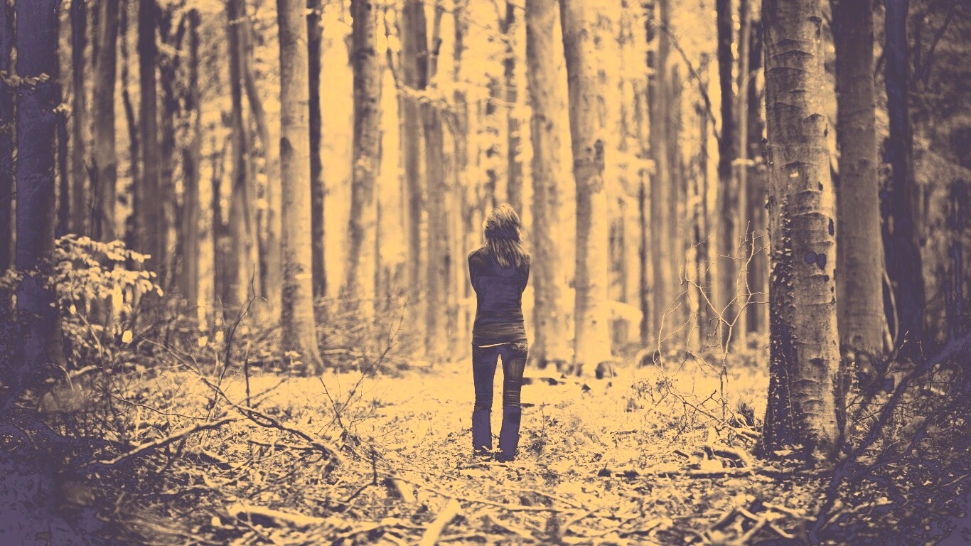 Одна в лесу обои