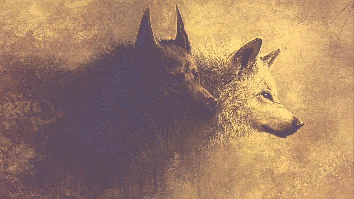 Волки обои