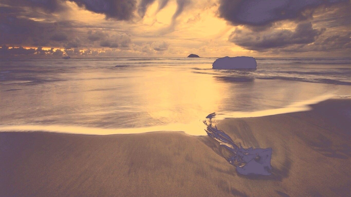 Коряга на пляже обои