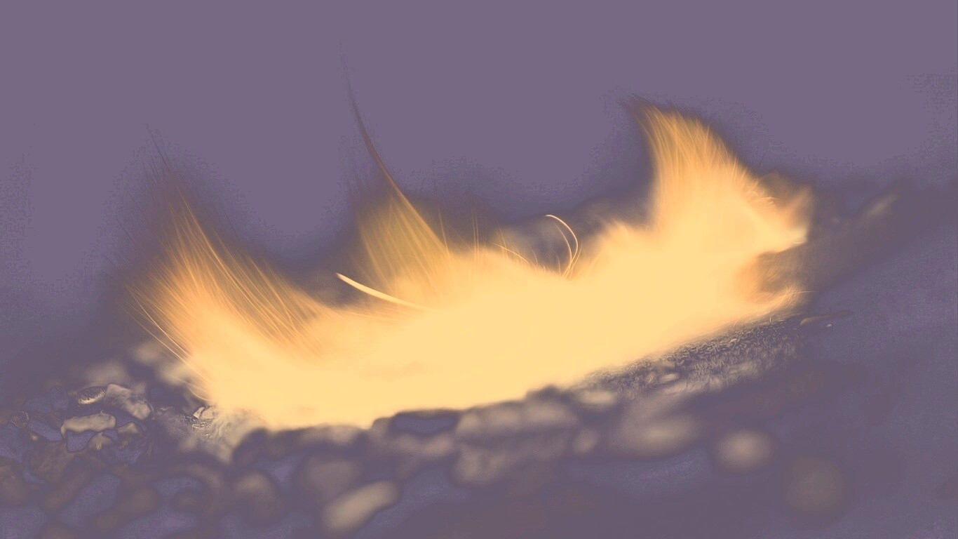 Вспышка обои