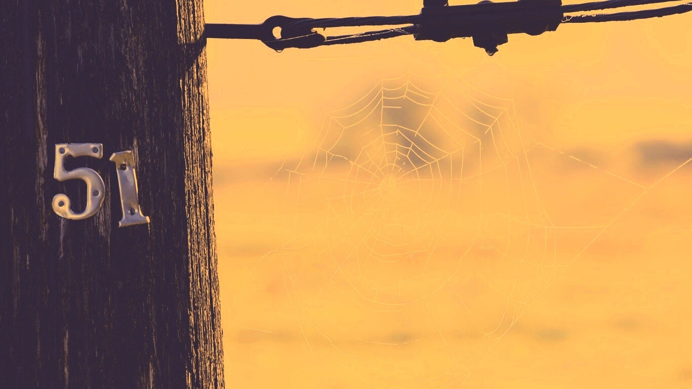 Паутина 51 обои