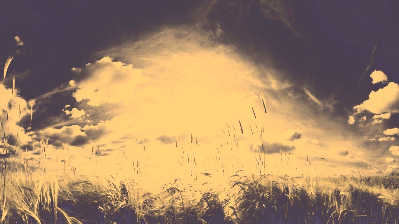 Сюрреалистичная трава обои