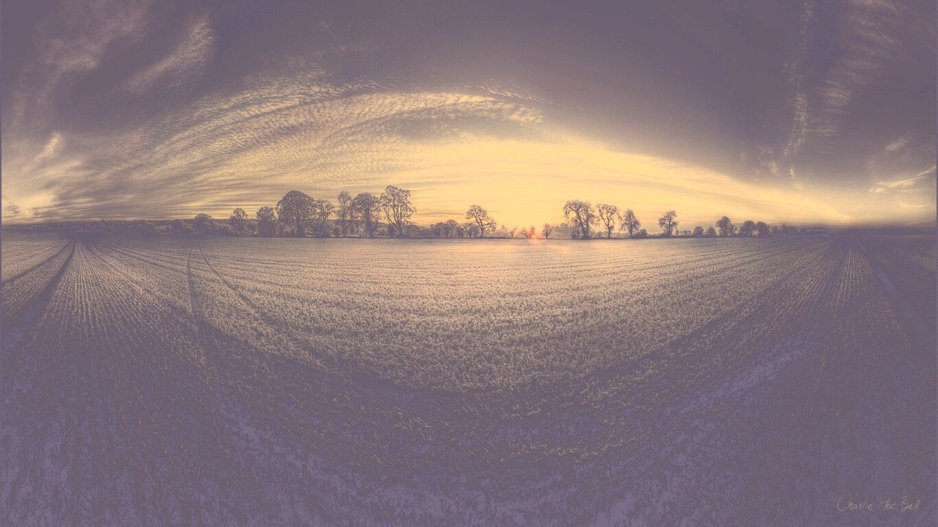 Поле широкоугольным объективом обои