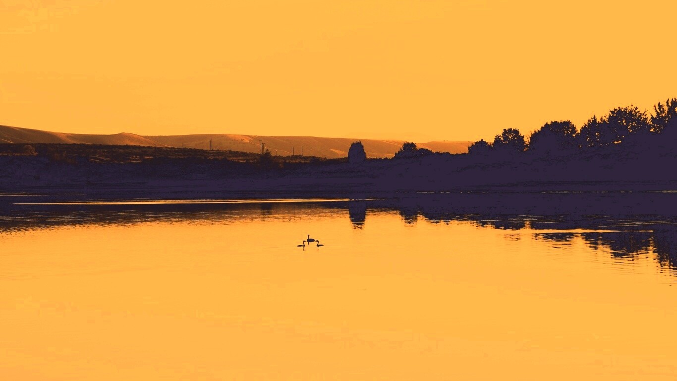 Утиное озеро обои