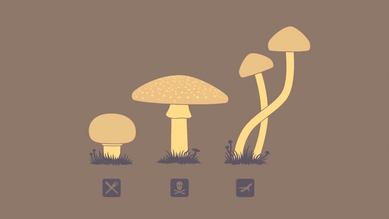 Грибочки обои