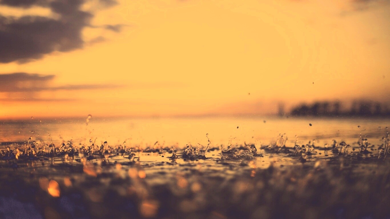 Дождь в макро обои