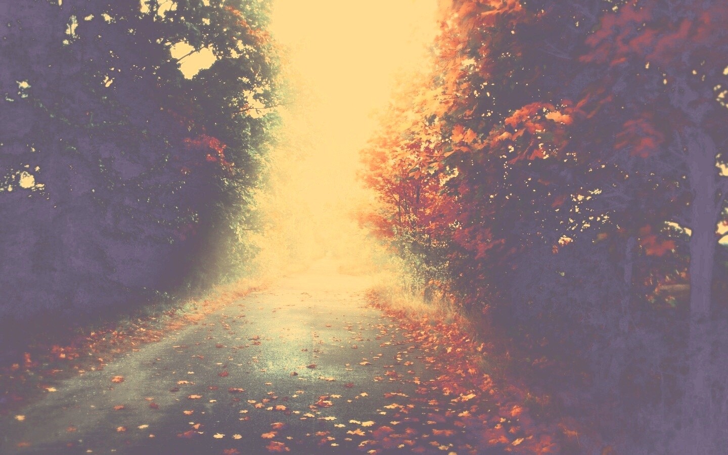 Желтая дорога обои