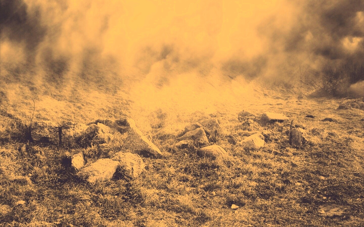 Туман на склоне обои