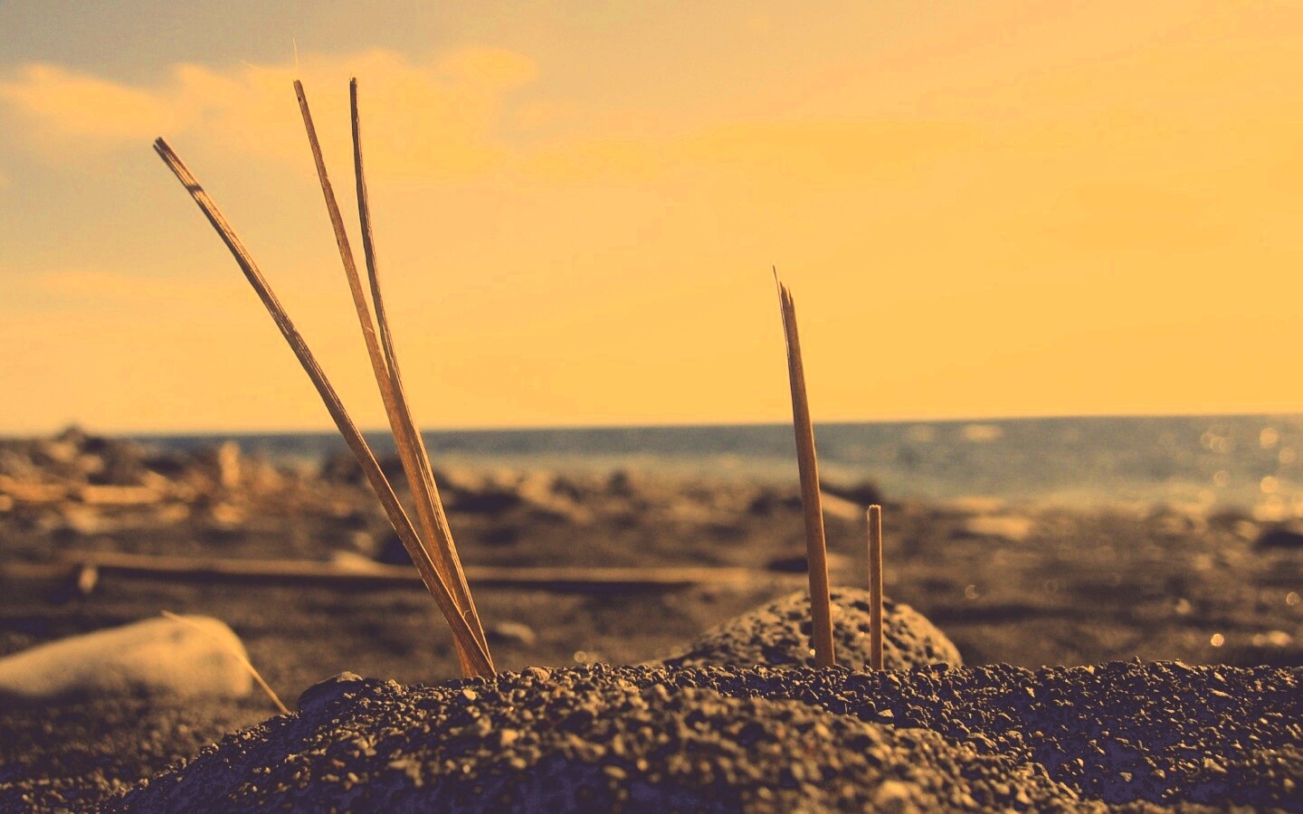 Солома на океанском берегу обои