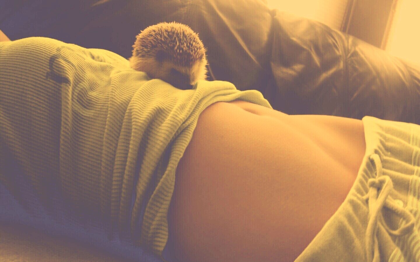 Девушка и ёжик обои