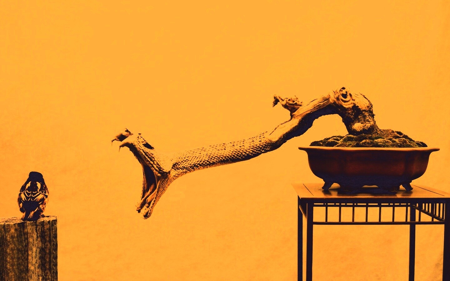 Змея-коряга напдает на птичку обои