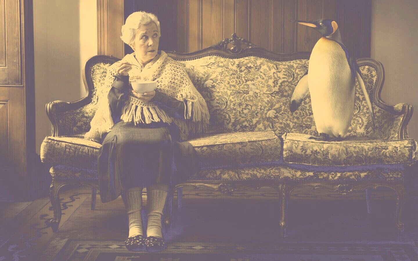 Соседи по дивану обои