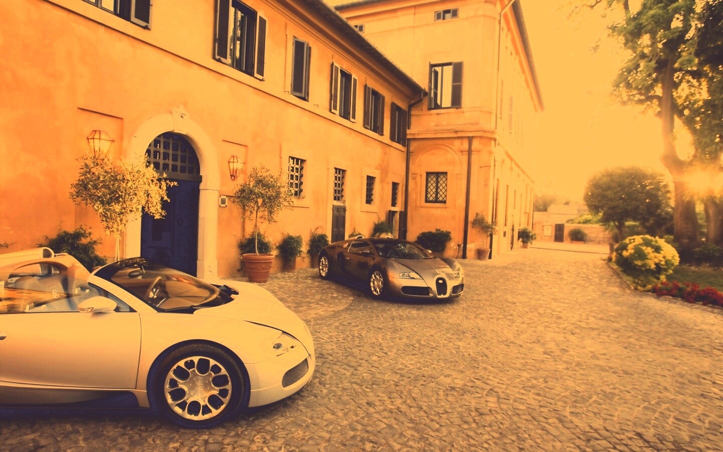 Два Бугатти у дома обои