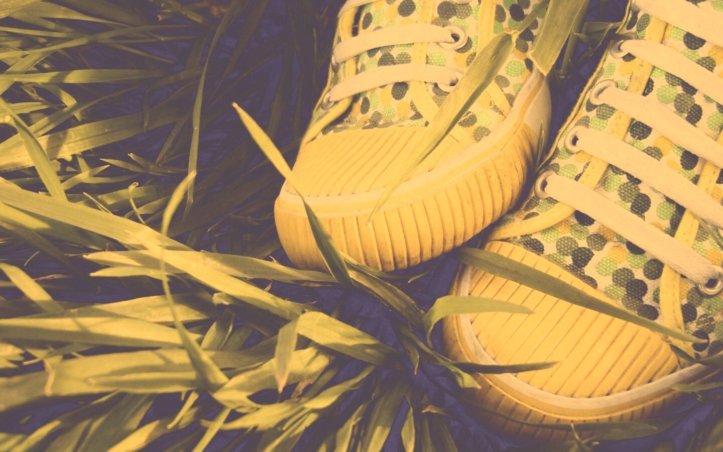 Желтые кеды в горошек обои