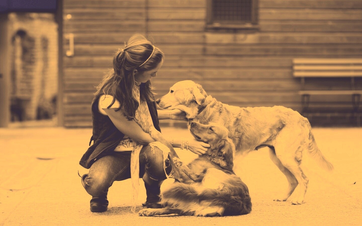 Девушка с собаками обои