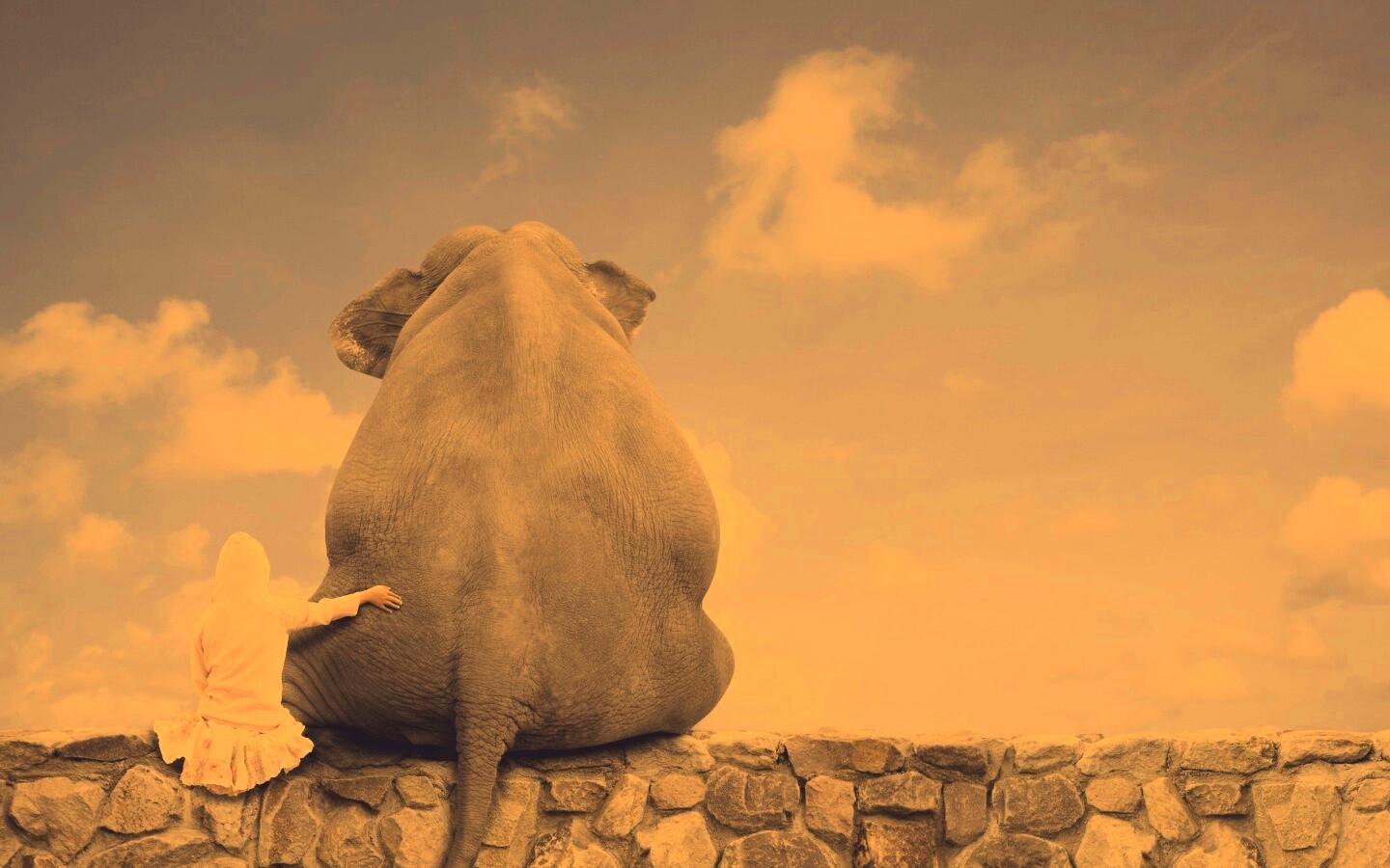 Девочка и слон обои