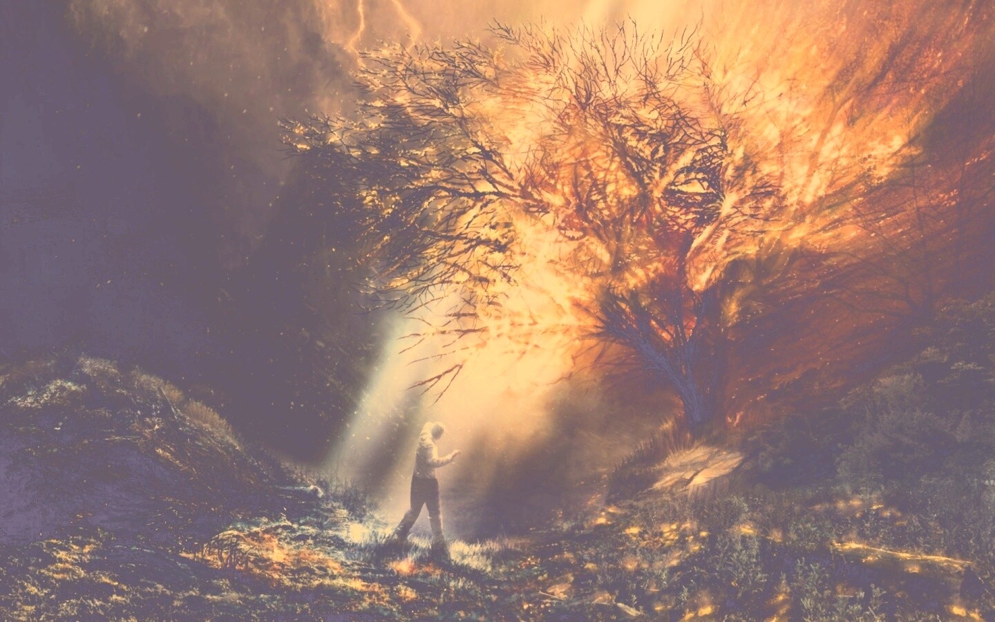 Горящее дерево обои