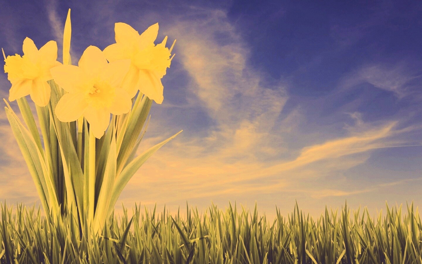 Букет цветов в траве обои