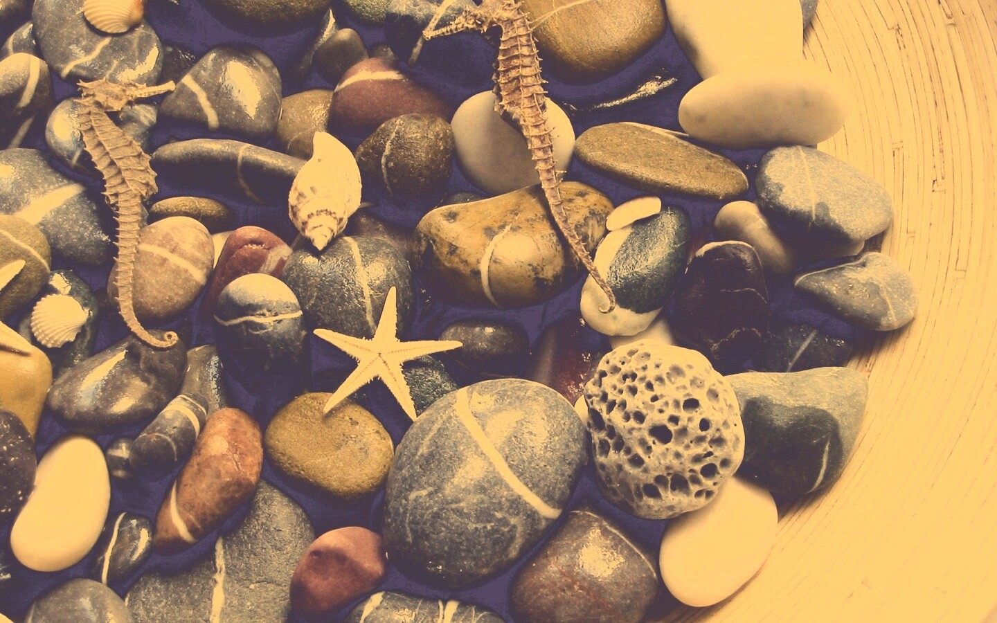 Морские камешки и фауна обои