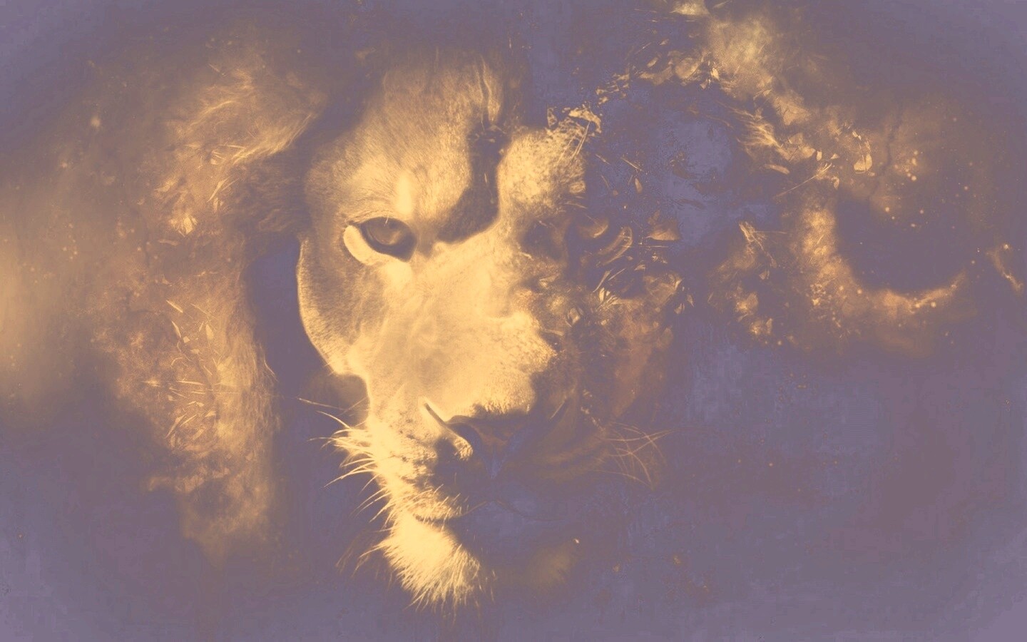 Фас льва обои