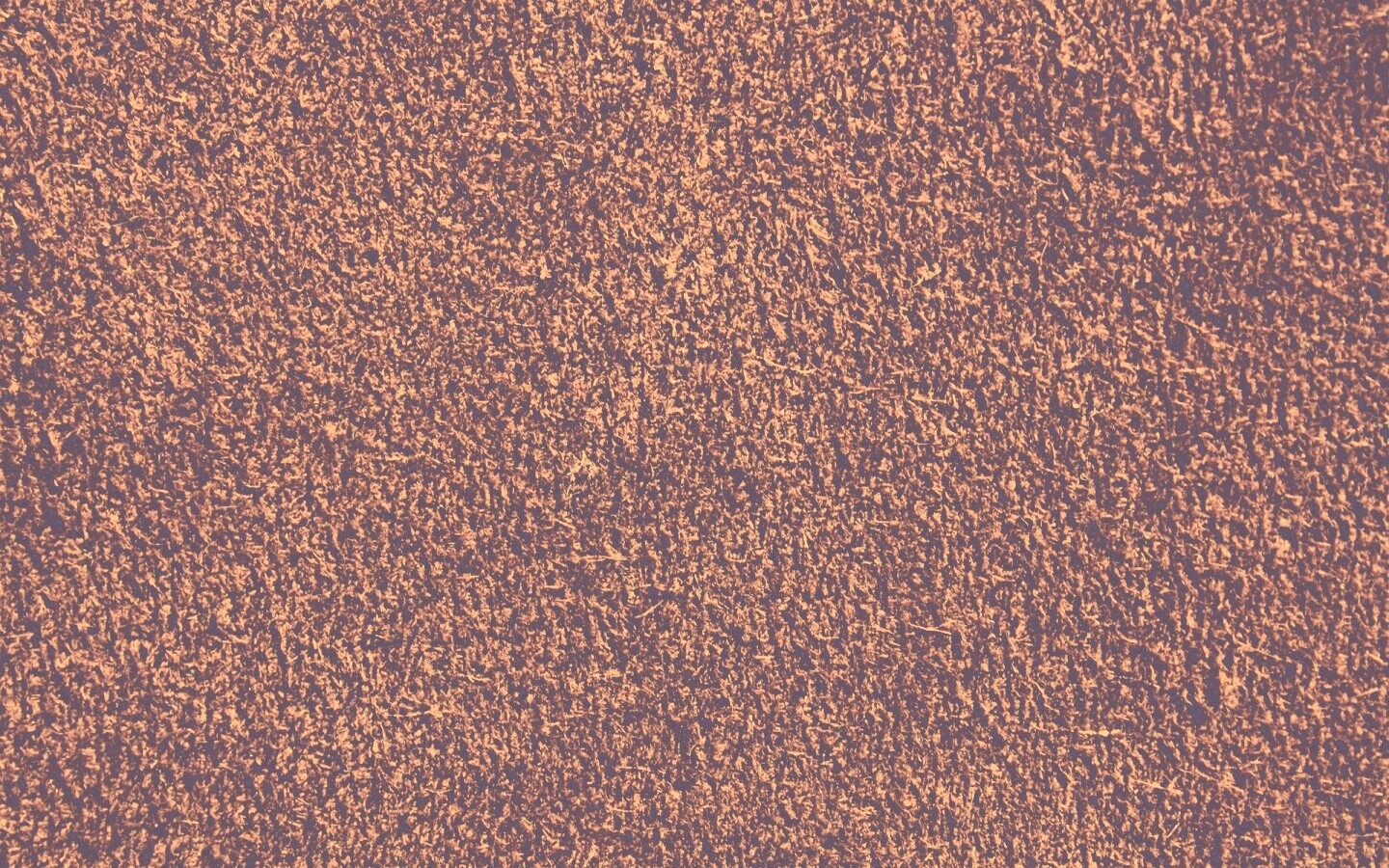 Бордовый ковролин обои