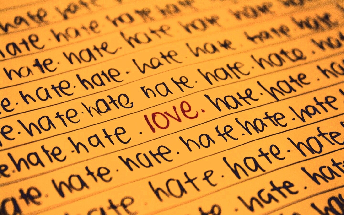 Любовь среди ненависти обои