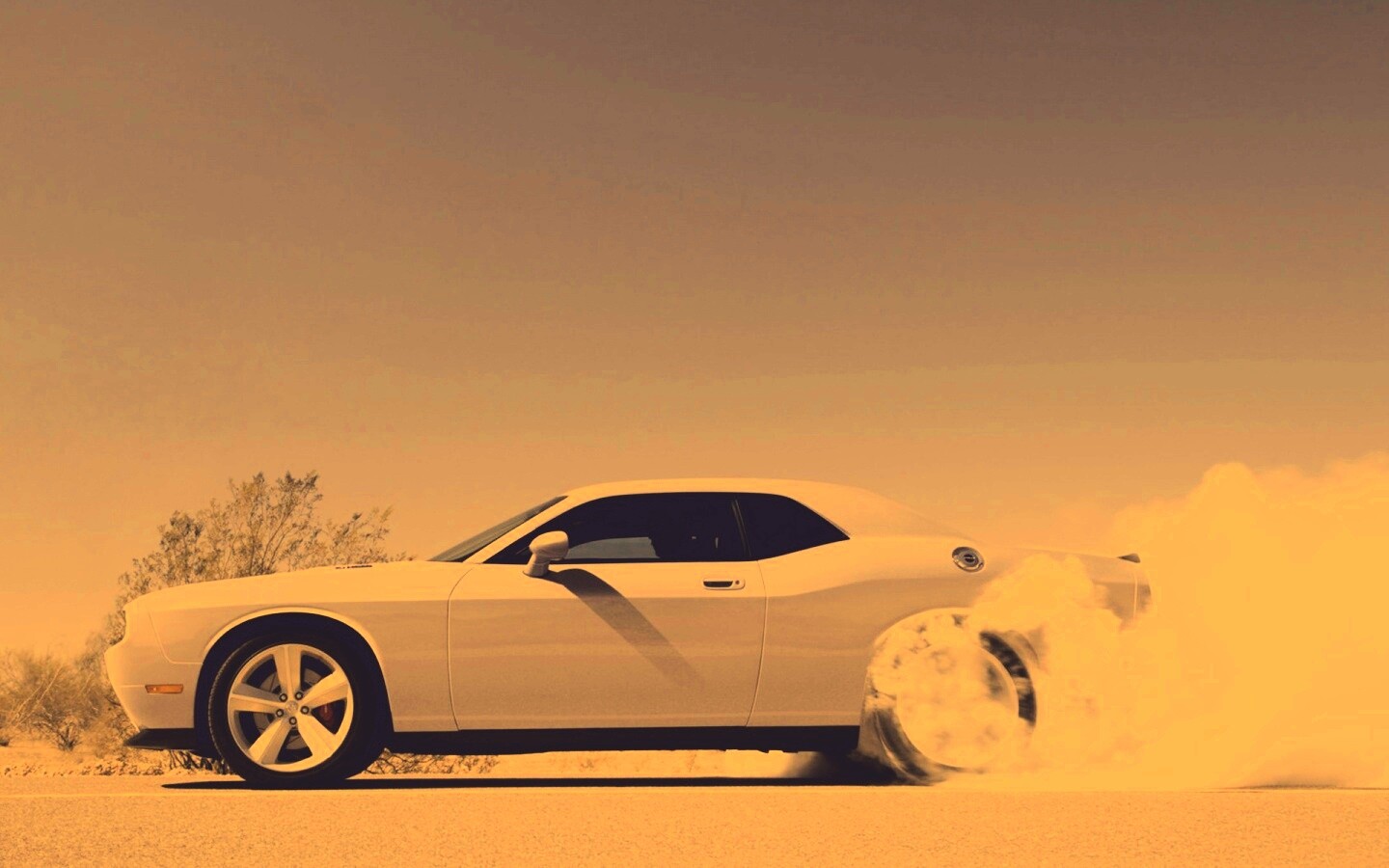 Стартующий Форд Мустанг обои