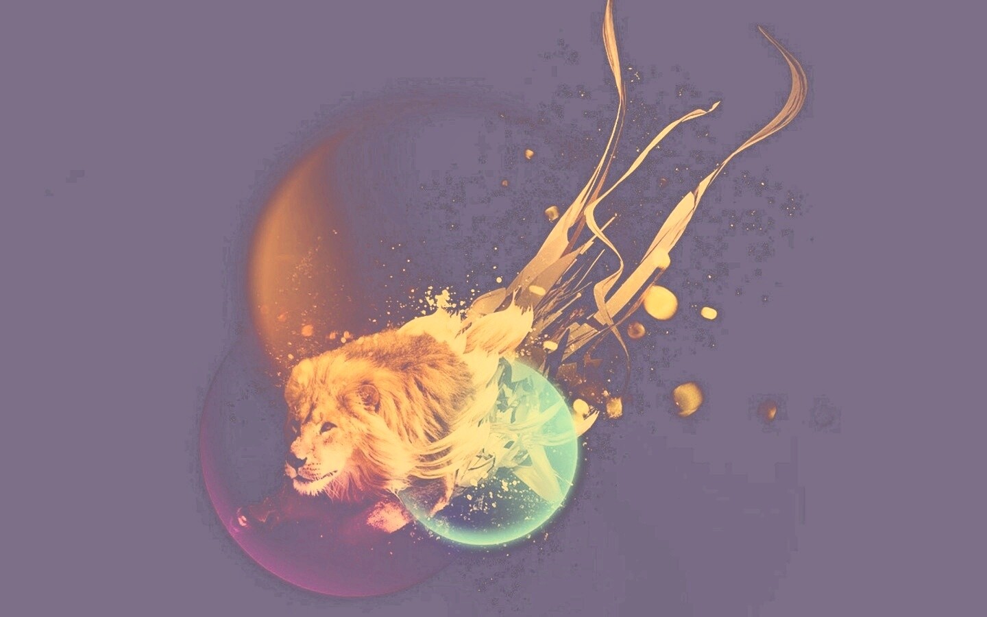 Лев в абстарктой фигне обои
