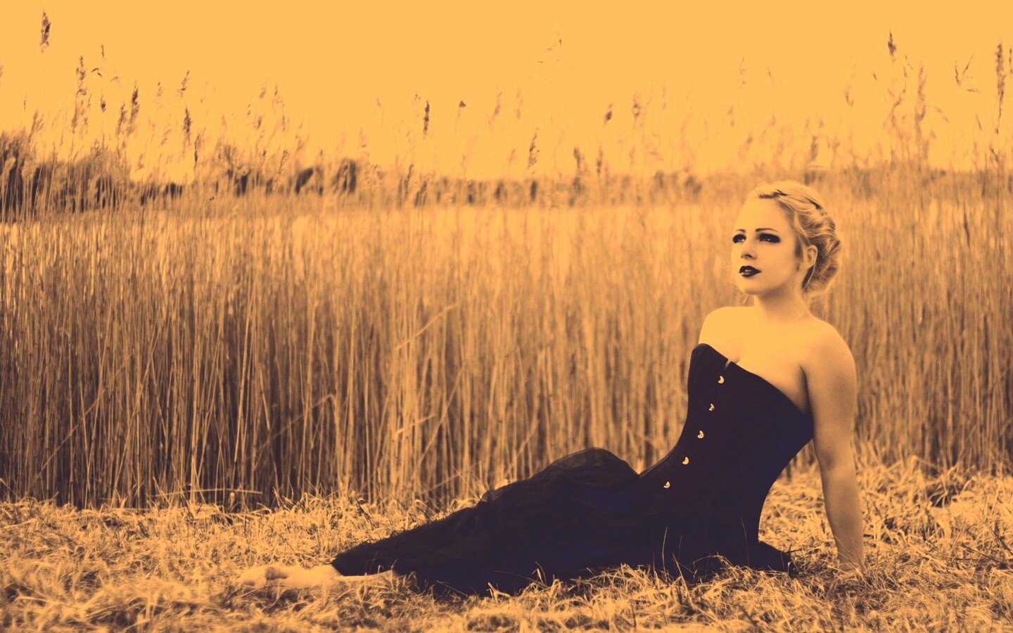 Девушка на траве в черном корсете обои