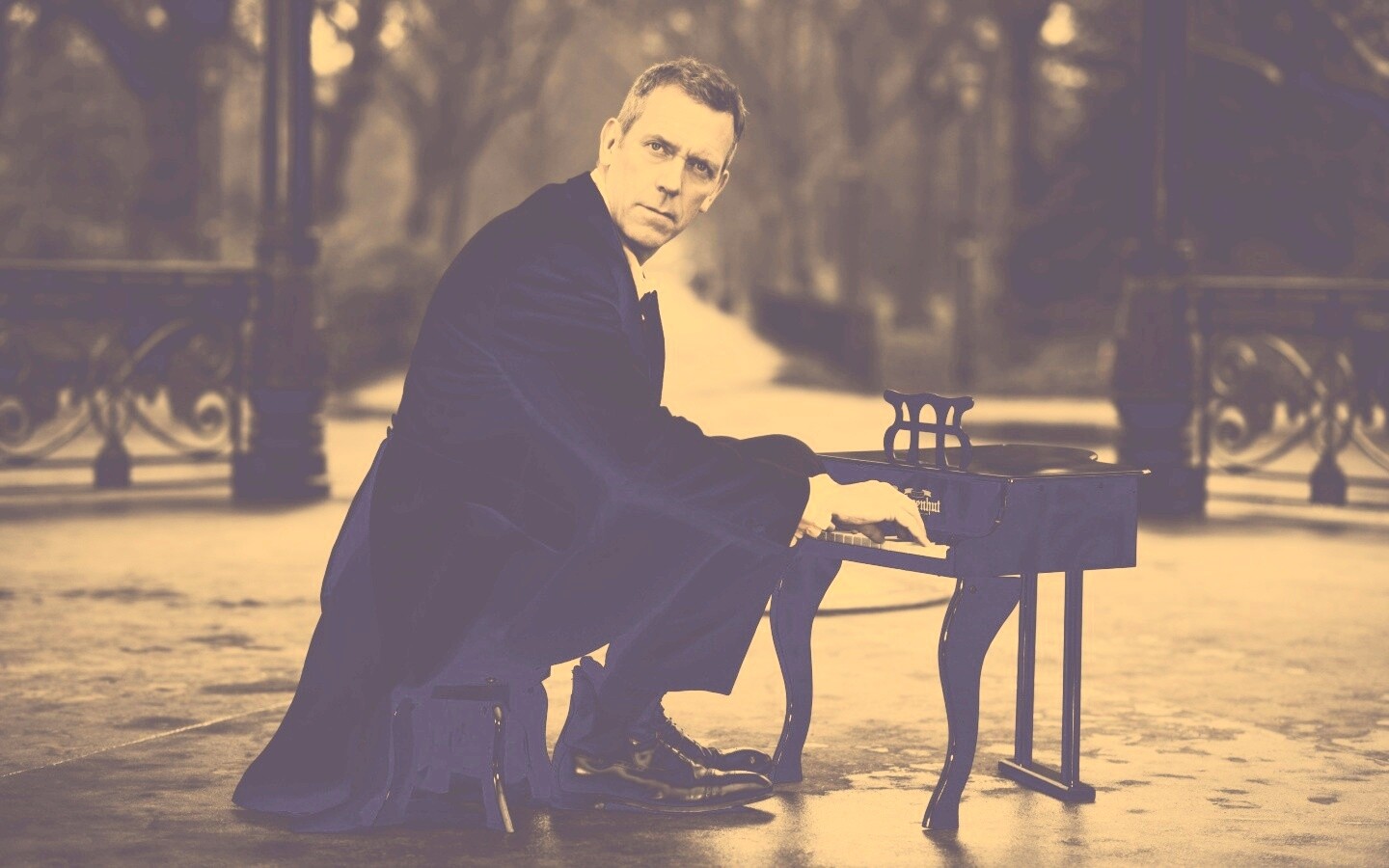 Хью Лори за маленьким роялем обои