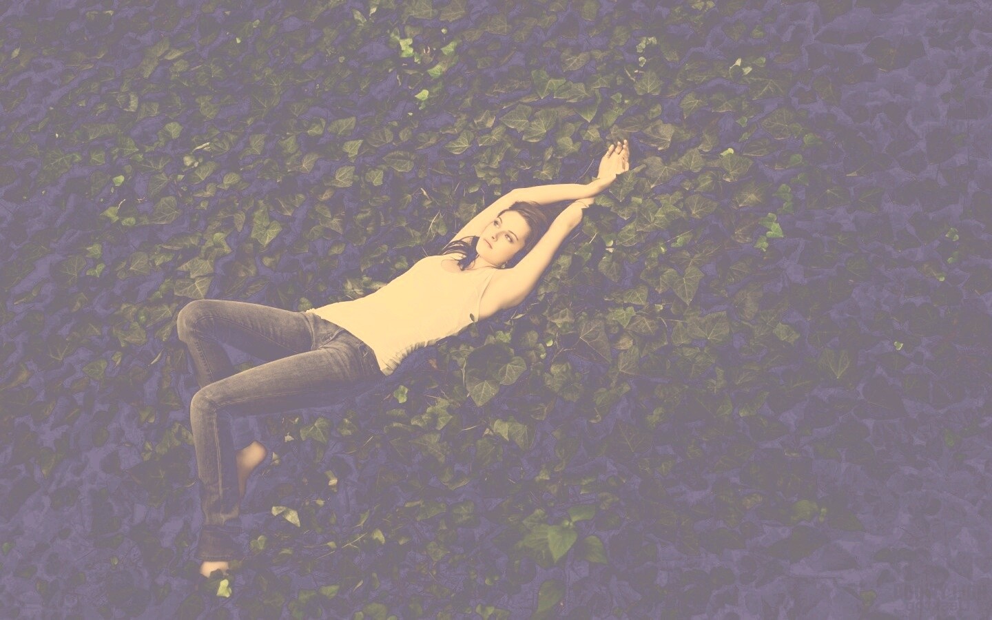 Кристен Стюарт на ковре из листьев обои